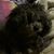 Nancy Catlef's profile image