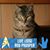 Jill Haviland's profile image