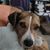 Barb Jackson's profile image
