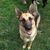 Julie Hornbuckle's profile image