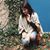 Maggie Krol's profile image