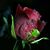 Joesphine Reel's profile image