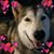 Karen McClure's profile image