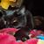 Debbie Olliff McCann Dunne's profile image