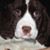 Kathi Zeitz Rosenhahn's profile image