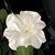 Jorja Arterburn White's profile image