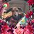 Sandra Mollineda Newman's profile image