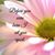 Vickie Bryan's profile image