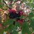 Deborah Donahue's profile image
