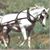 Gloria Corn Olmstead's profile image
