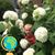 John M. LaBelle's profile image