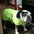 Teri L Shaft's profile image