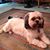 Joan Jones Dallas's profile image