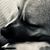 Jonathan Cole's profile image