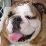 maribell r.'s profile image