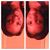 Striveforsuccess Striveforsuccess's profile image
