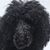 David Thomas's profile image