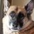 Diane Browne's profile image
