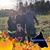 Jody Burkhardt-Thompson's profile image