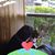 Lisa Sirabella Anson's profile image