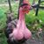 Scott LeMay's profile image