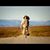 Ivana Vallecillo's profile image