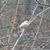 Sue C Uncapher's profile image
