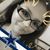 Marisol Davila's profile image