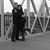 Lizzy Dekam's profile image