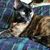 Janis Miller's profile image