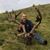 Bill Pitts's profile image