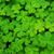 Linda Keffer's profile image