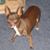 Marsha Mills O'Roke's profile image