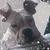 Brecken Ermer's profile image