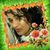 Singh Reshma's profile image