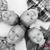 Jennifer Buhite-Garick's profile image