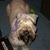 Seamus McCleery's profile image