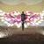 Sue Hanlon's profile image
