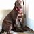 Christopher Bosker's profile image