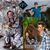 Frankie Johnston's profile image