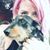Lindsay Strum's profile image