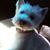 Donna Rohlff's profile image