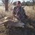 Leathea Penick's profile image