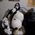 Sheila Reabe's profile image