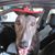 Greyson Conroy's profile image