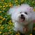 Judy Moore-Reinagel's profile image