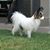 Marla D Youngblood's profile image