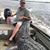Mark Saxon's profile image