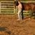 Annamarie Rose's profile image