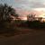 Penny Jones Beason's profile image